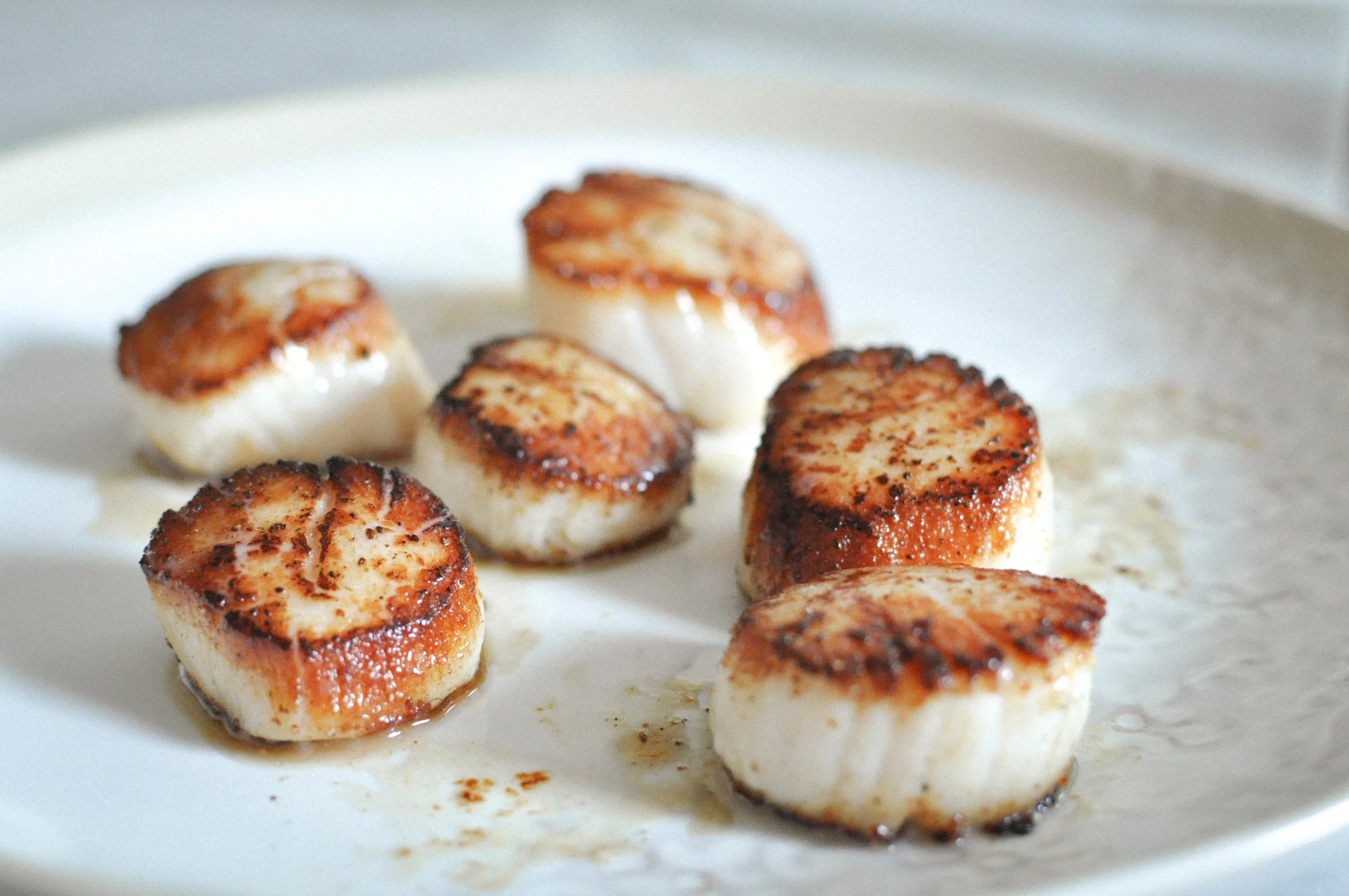Seared Scallops with Pea Purée | O&O Eats
