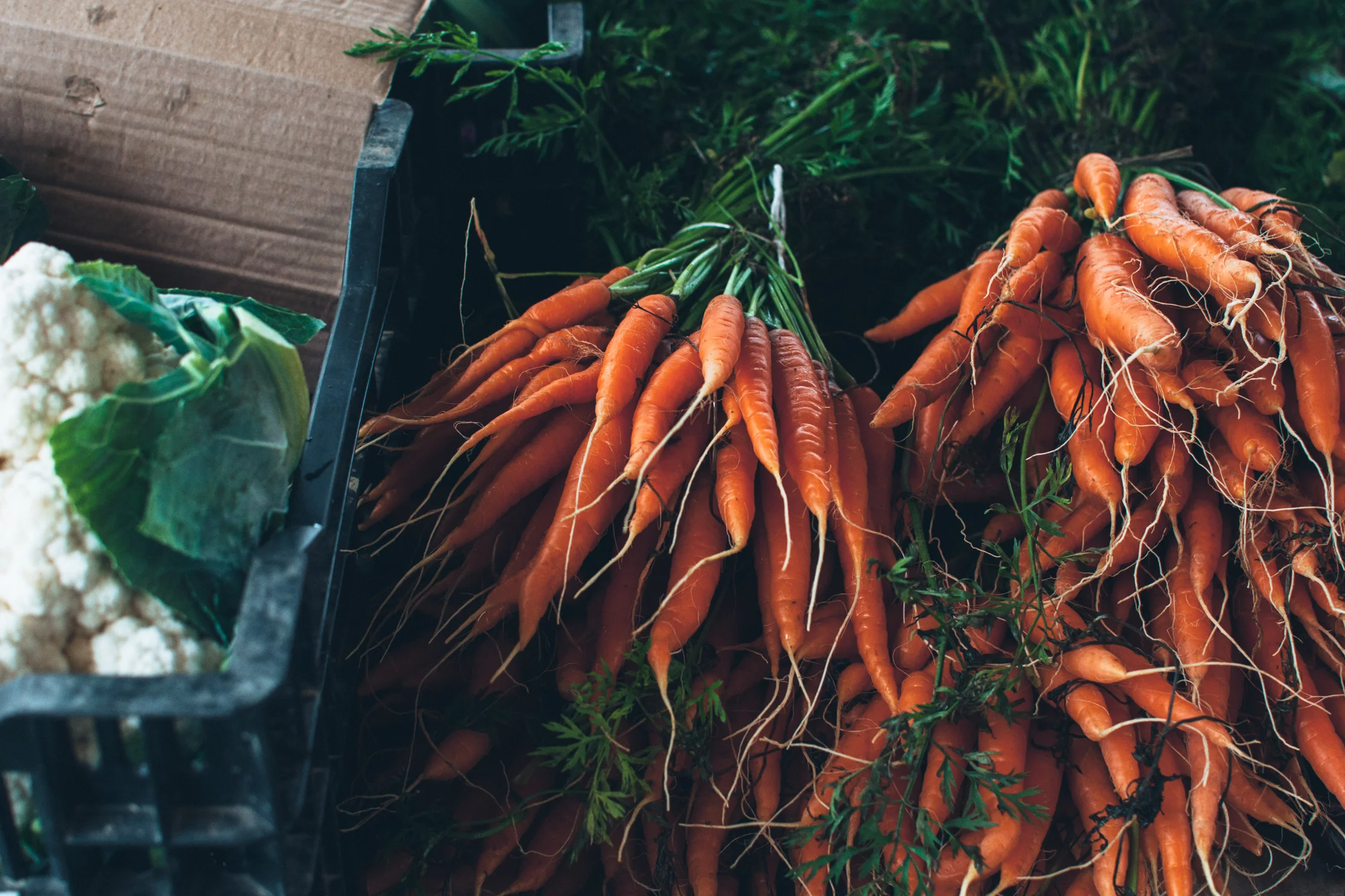 Upstate New York | O&O Eats