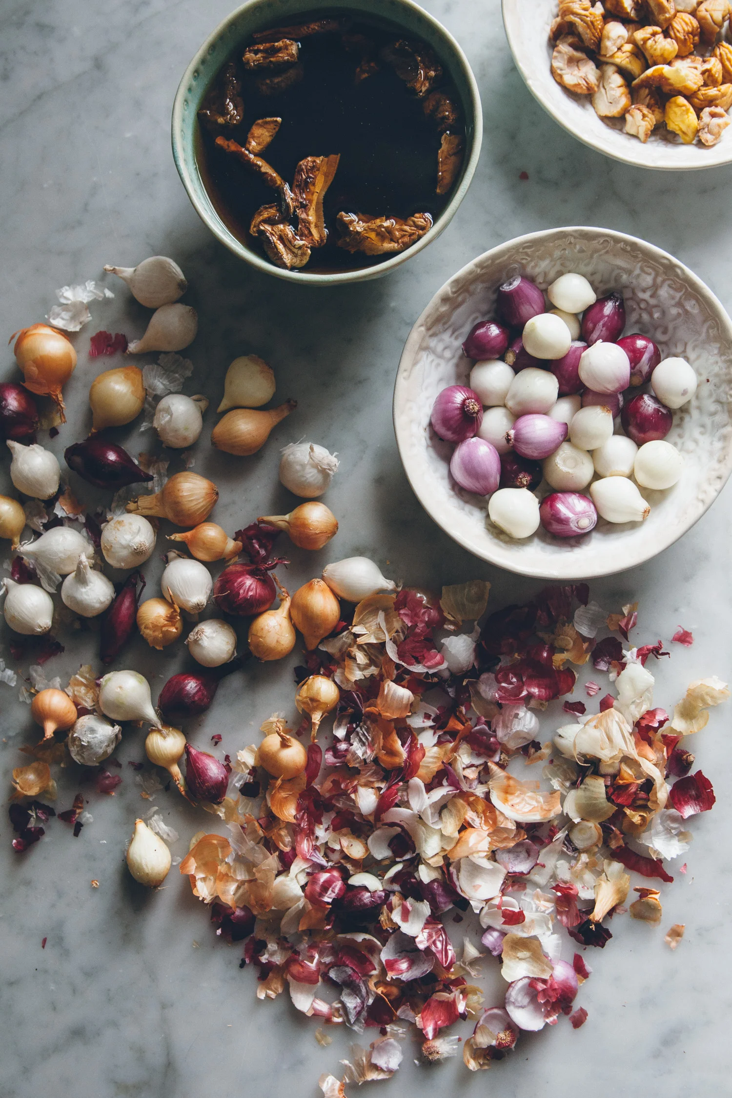 Mushroom, Chestnut, & Dumpling Soup | O&O Eats