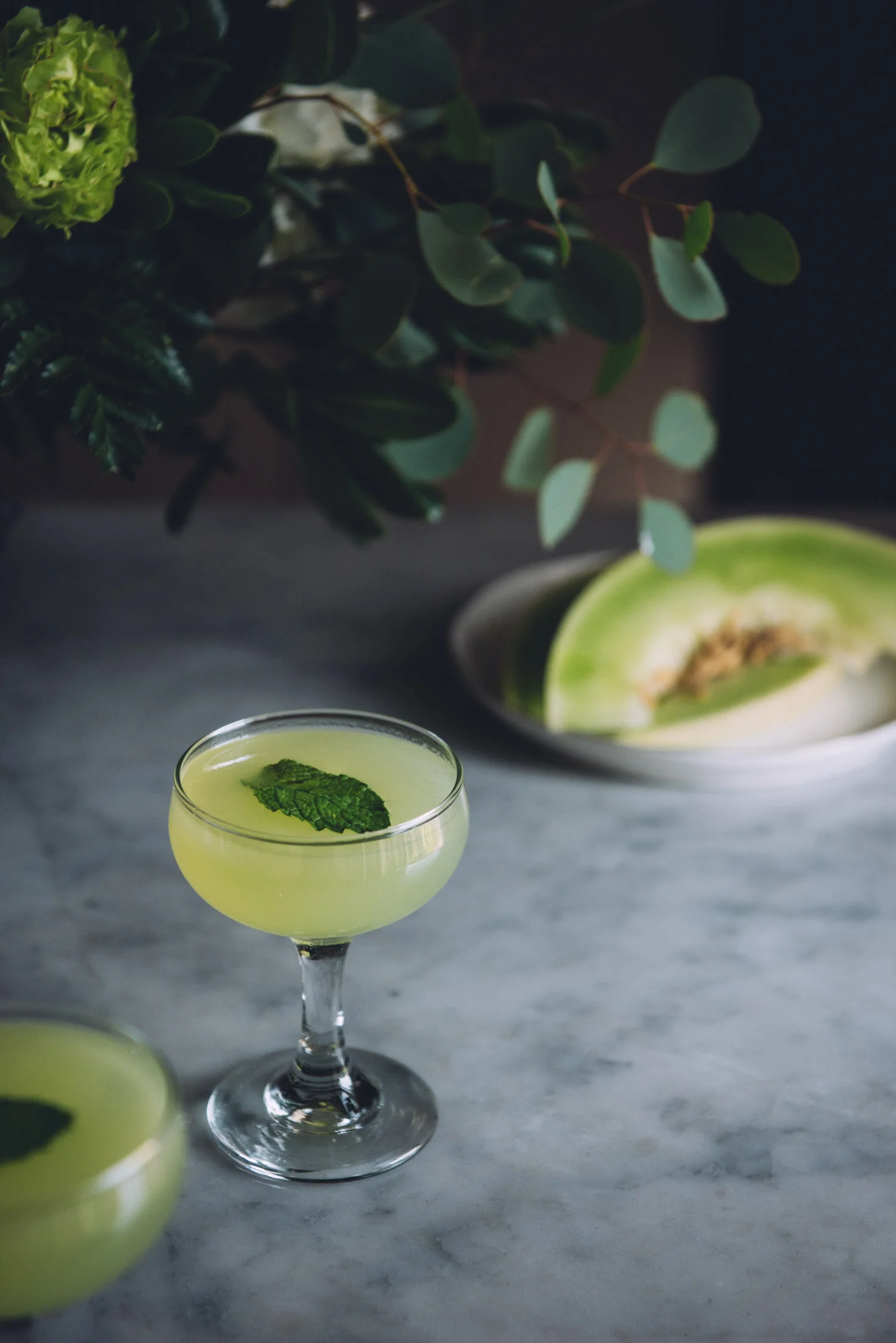 The Long Hope: a Honeydew Cucumber Gin Cocktail