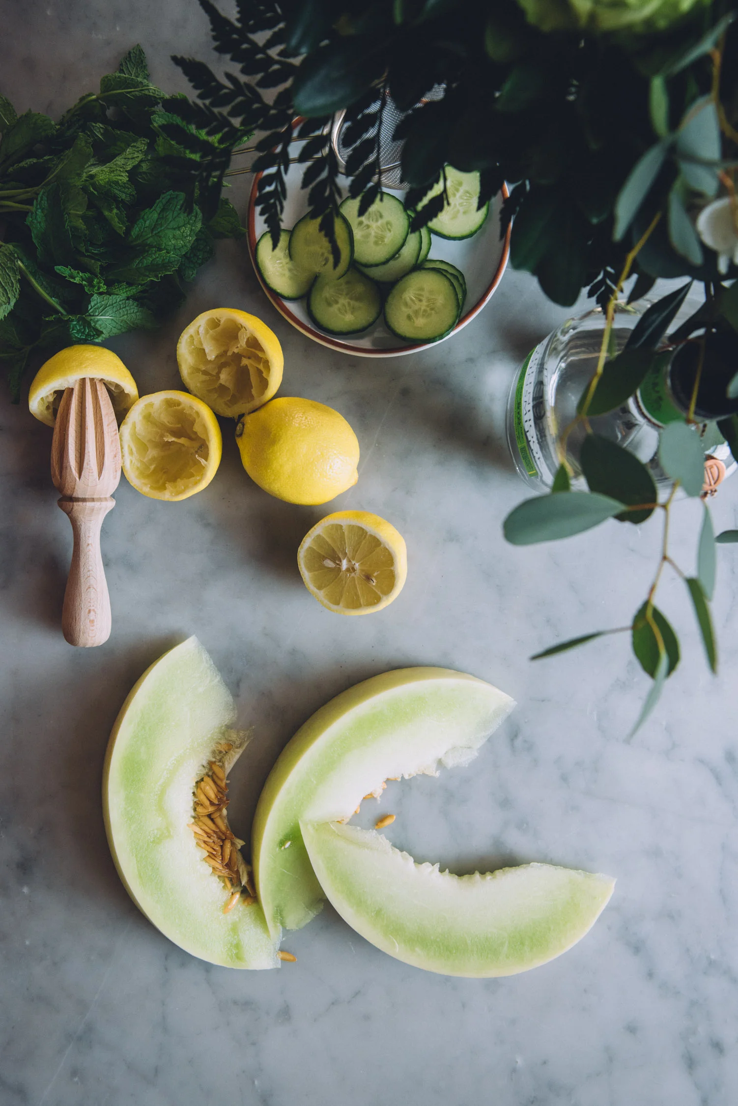 The Long Hope: a Honeydew Cucumber Gin Cocktail
