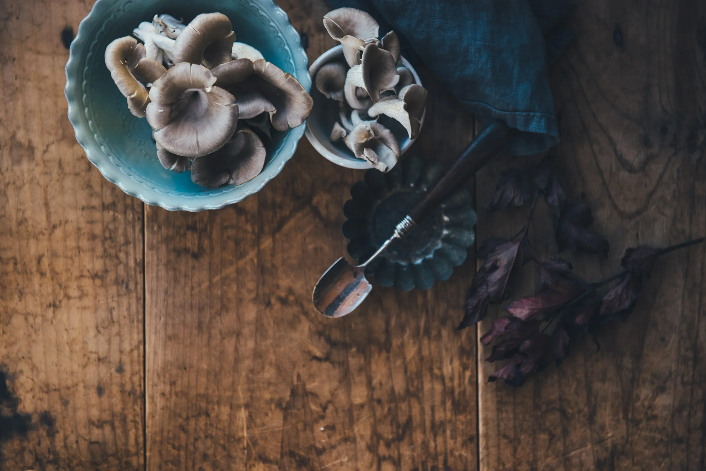 Tamworth Photography and Styling Workshop