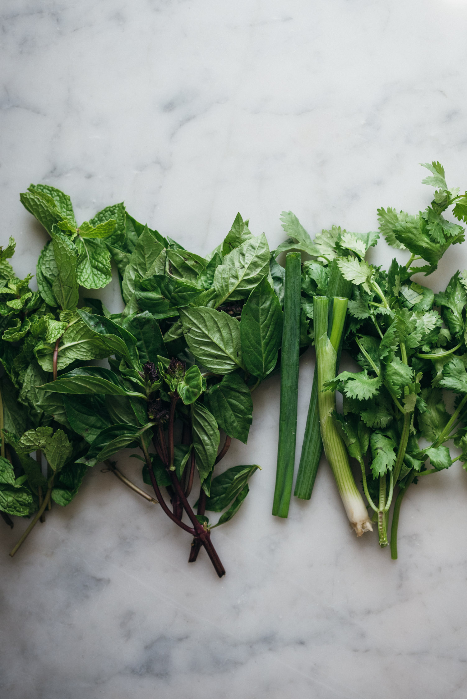 Herbal Rice Noodle Salad With Broccoli Rabe