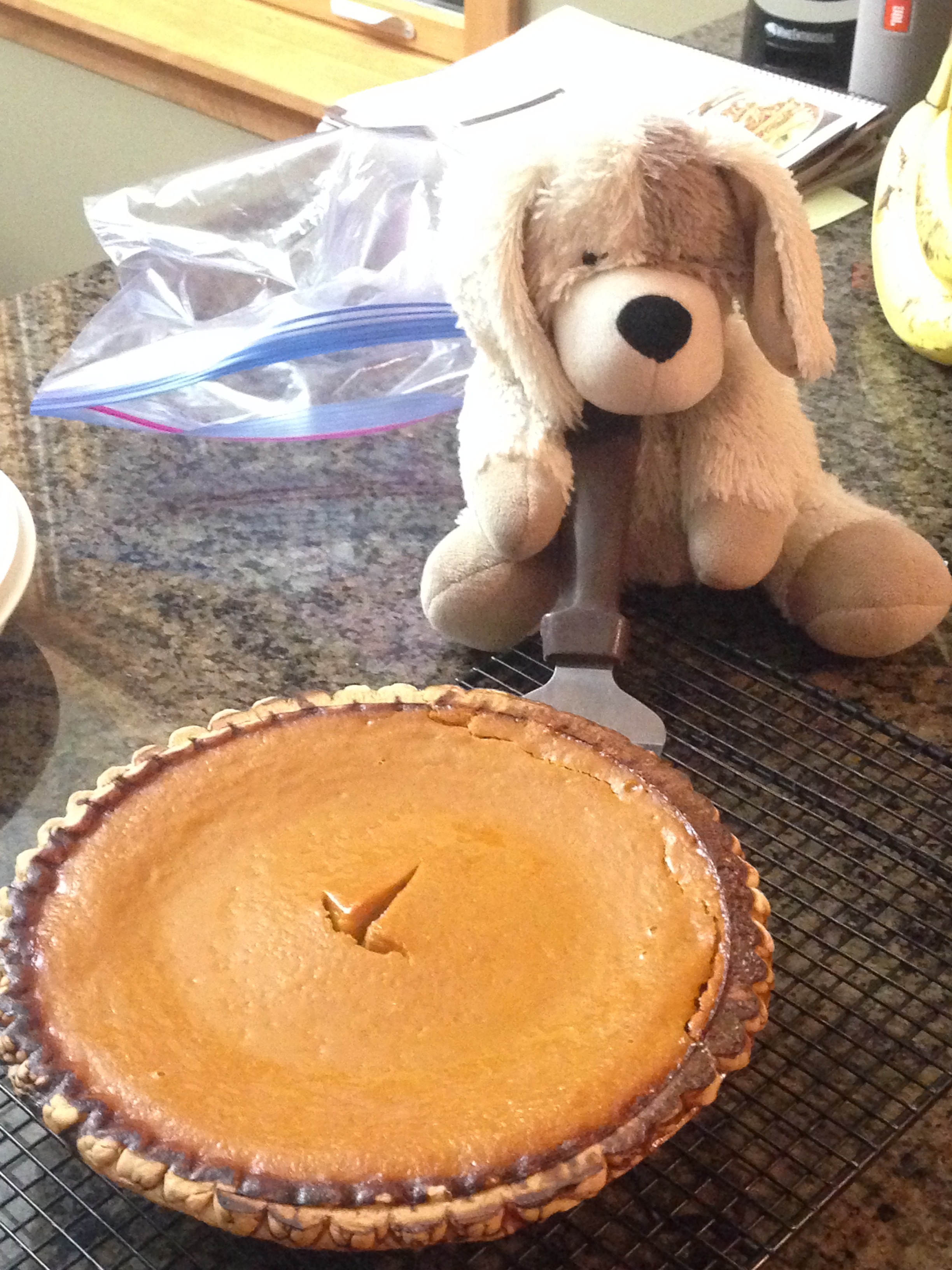 Training &amp; Nutrition Tips for Staying Fit During the Holidays