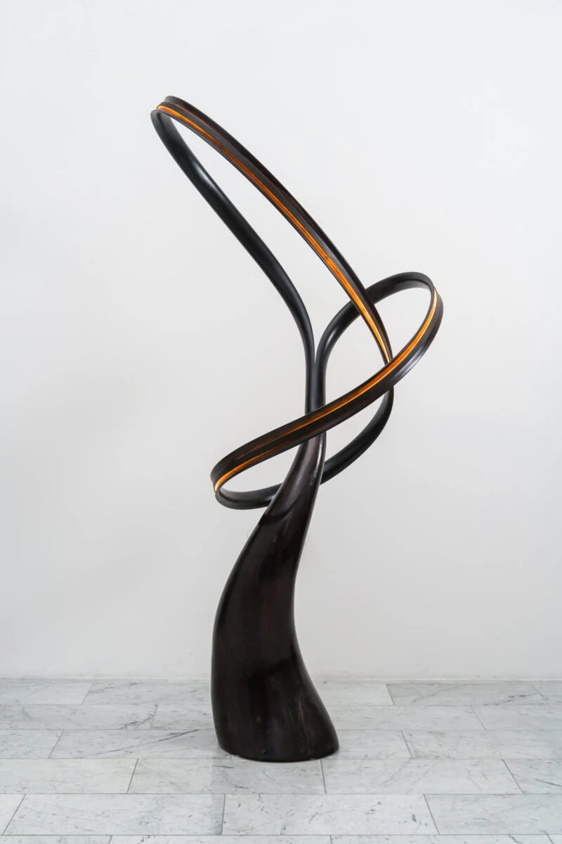 Anthropose_2024_06.jpg