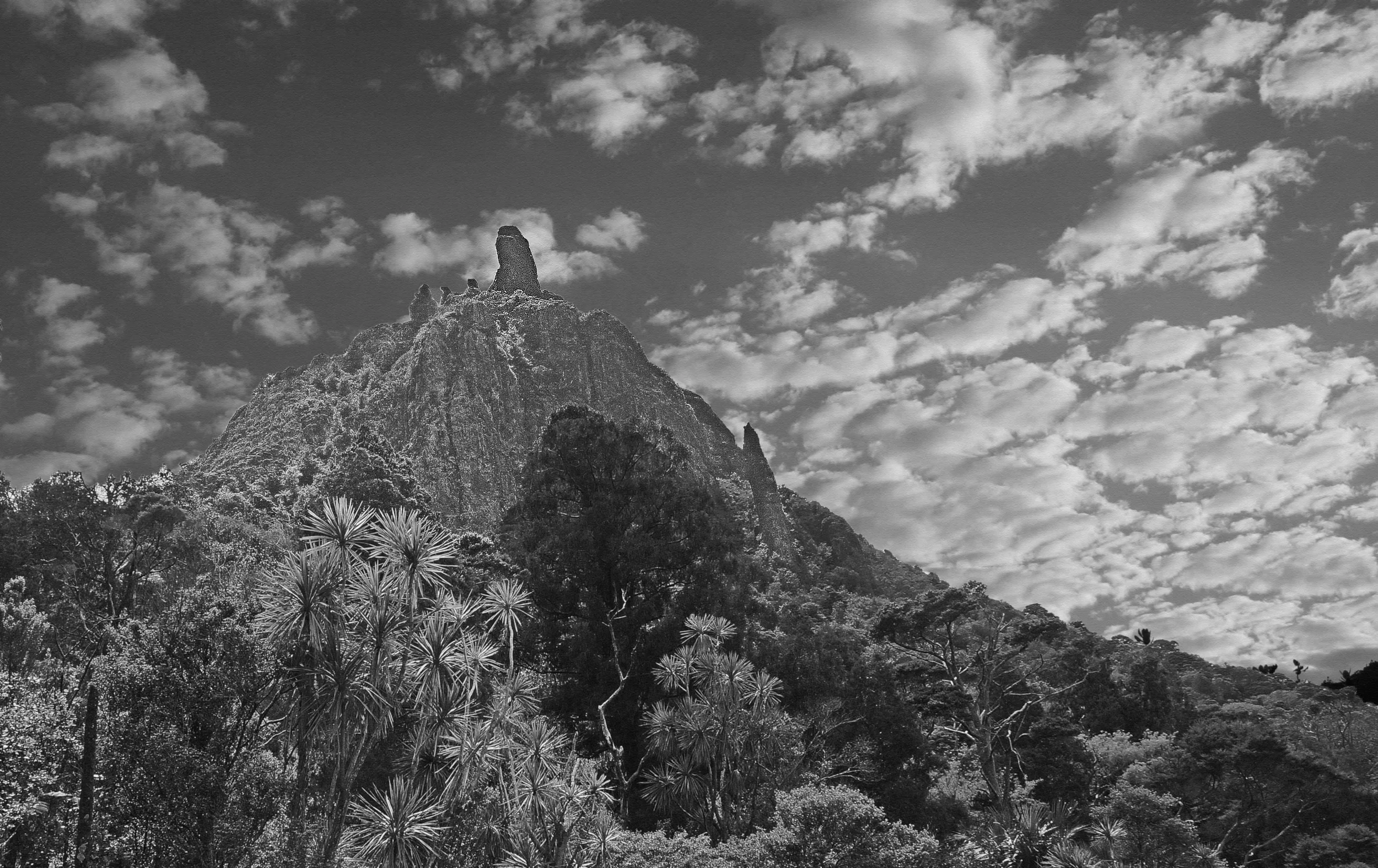 Black and white photography can add drama to a scene, such as this moody view of Mount Manaia in Northern New Zealand