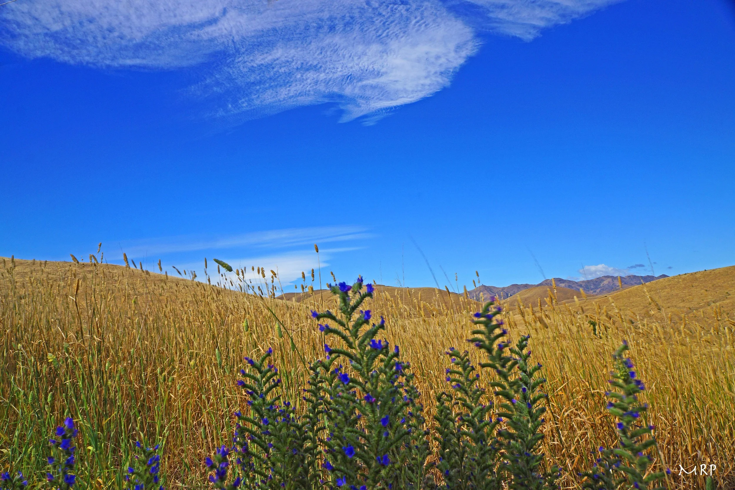 Big skies, South Island