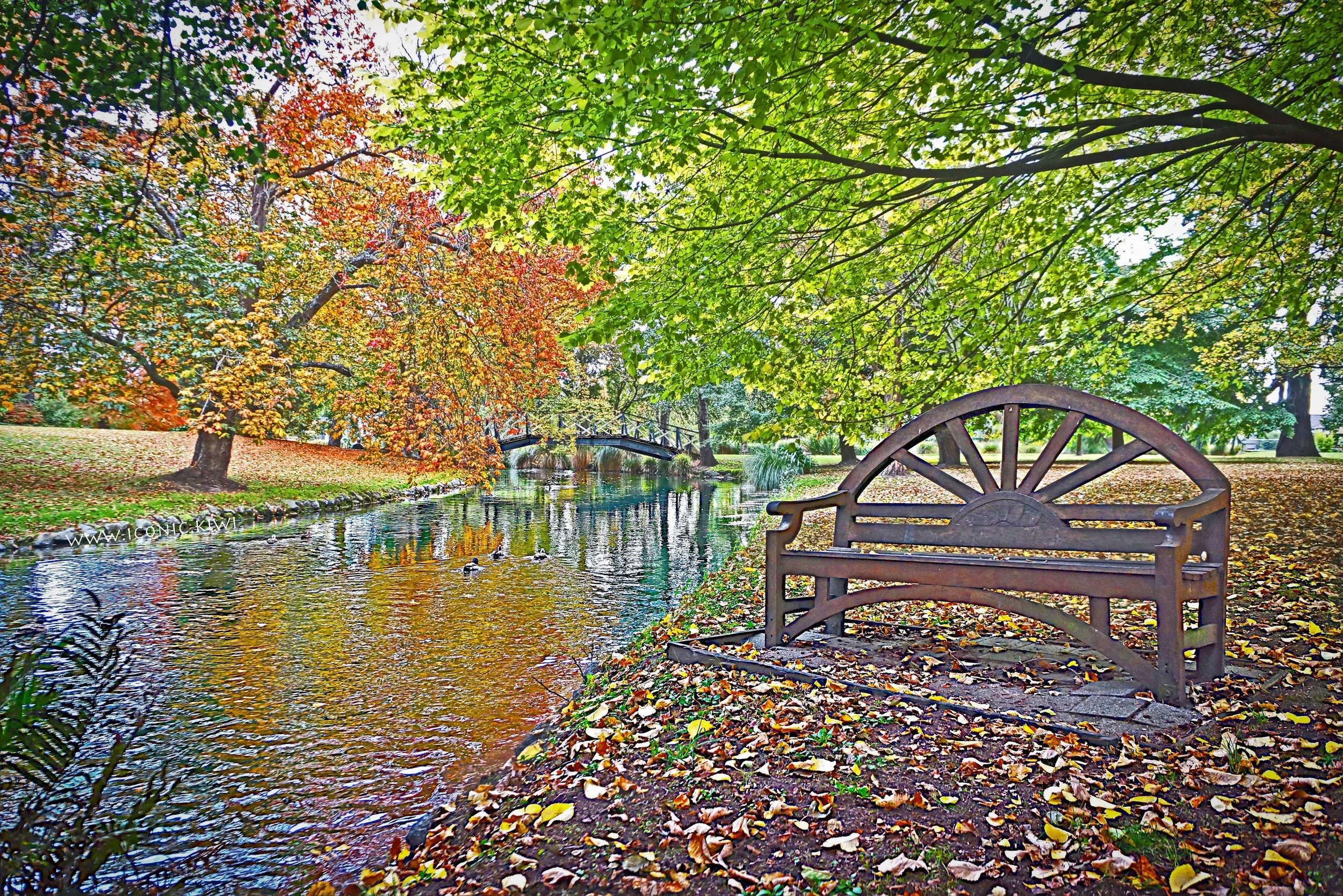 A tranquil autumn walk in Mona Vale park, Christchurch