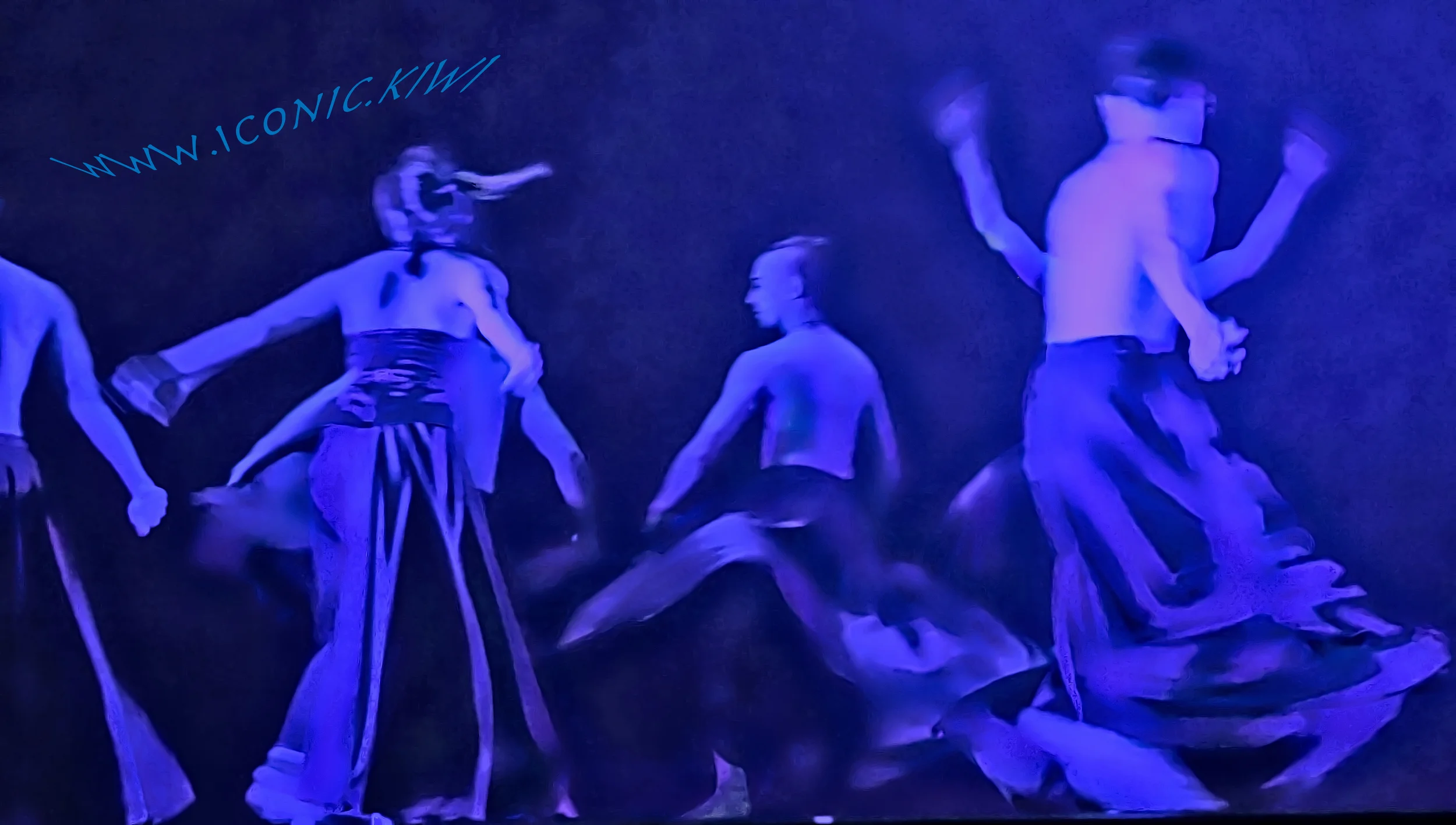 Image created from a photograph taken at the 2015 Tiki Taane Mahuta Aerial Contemporary Dance show