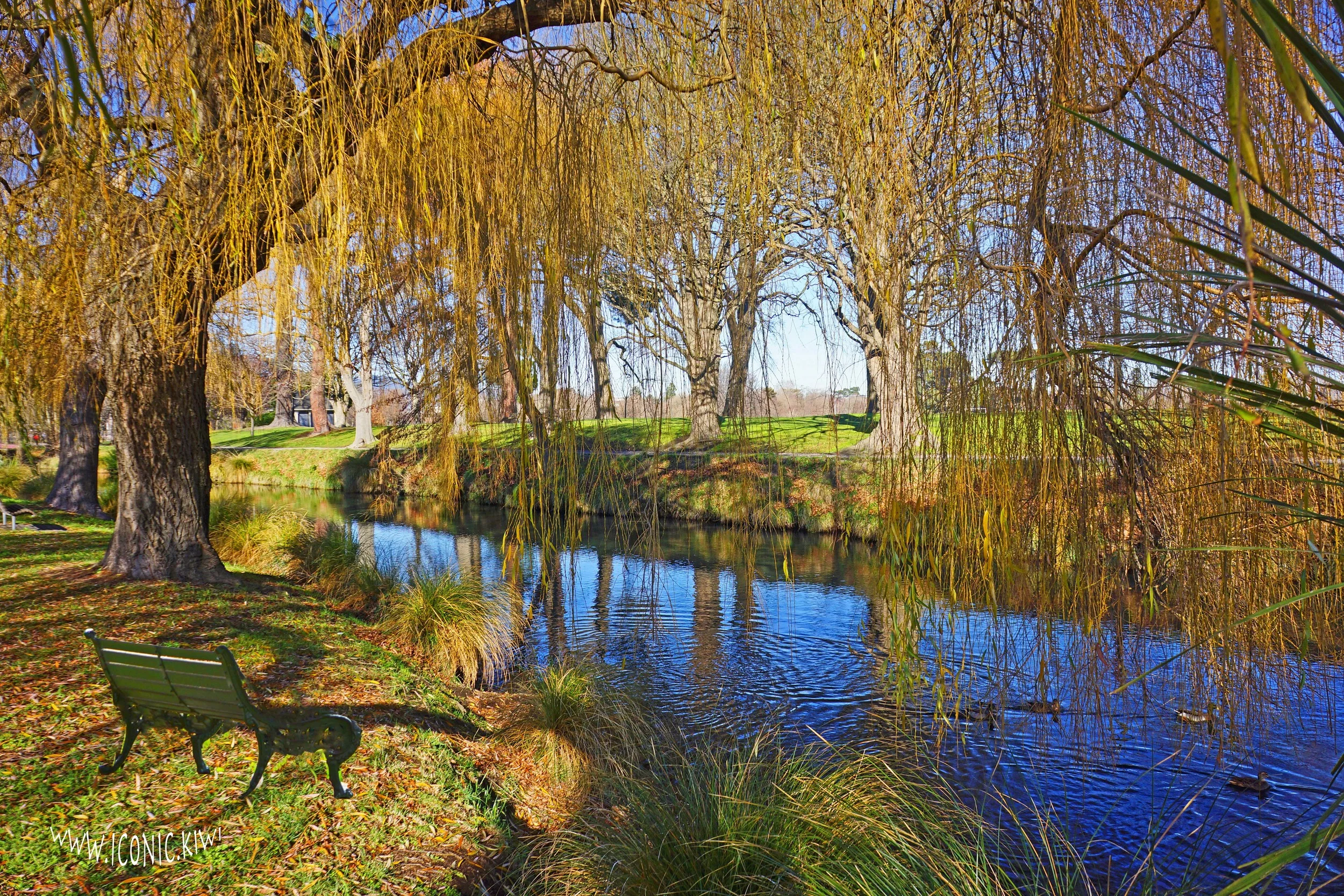 A beautiful winter's day for a meander along the River Avon in Christchurch, New Zealand