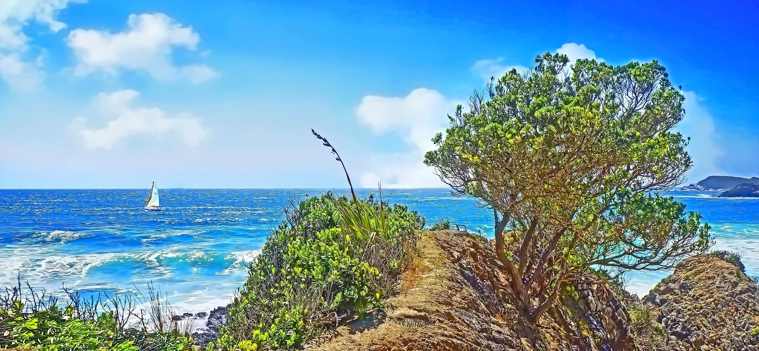 Magical Ocean Beach in Northland, New Zealand - imagine this on your office or living room wall...