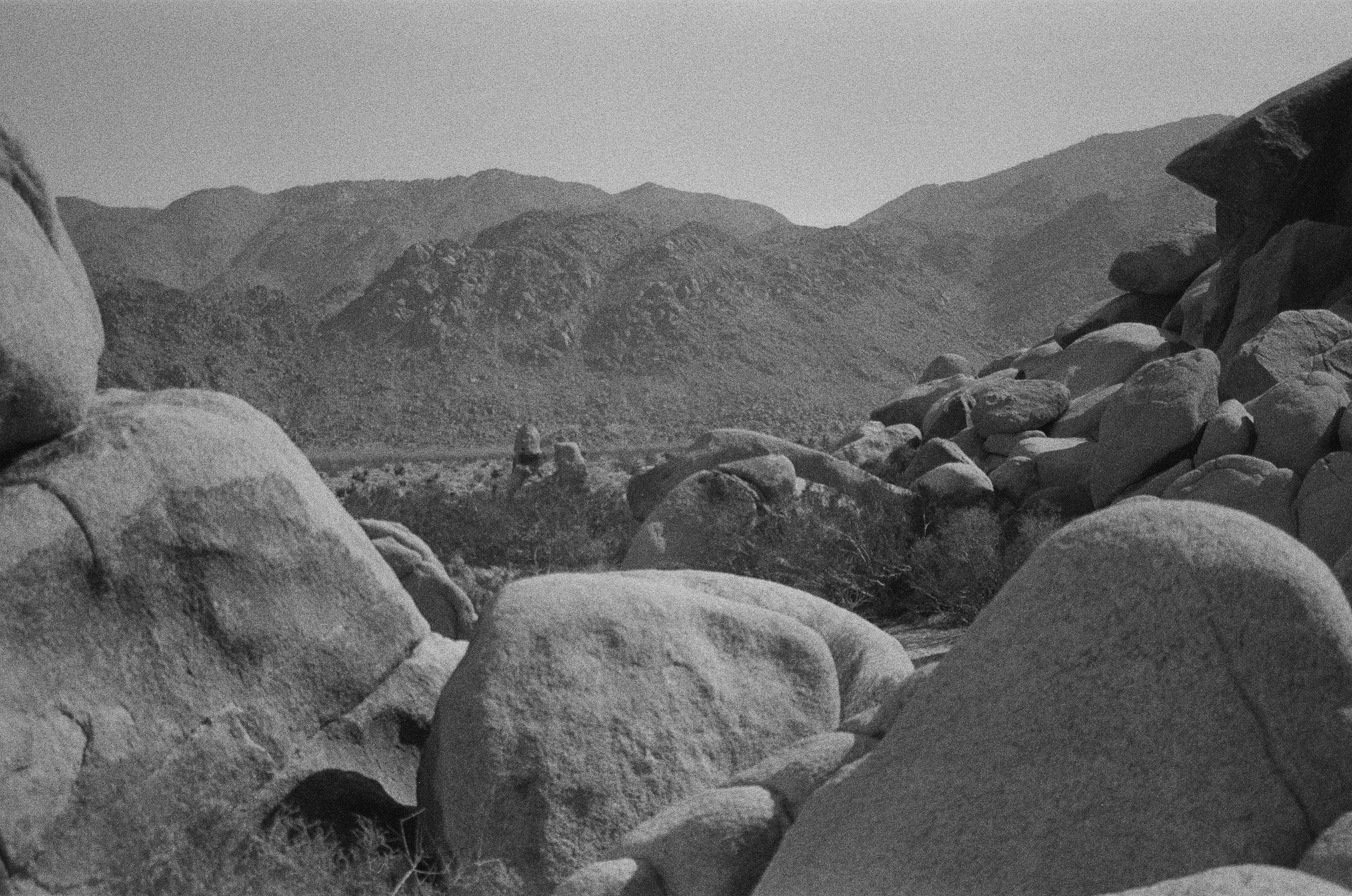 photo by Miranda Childs