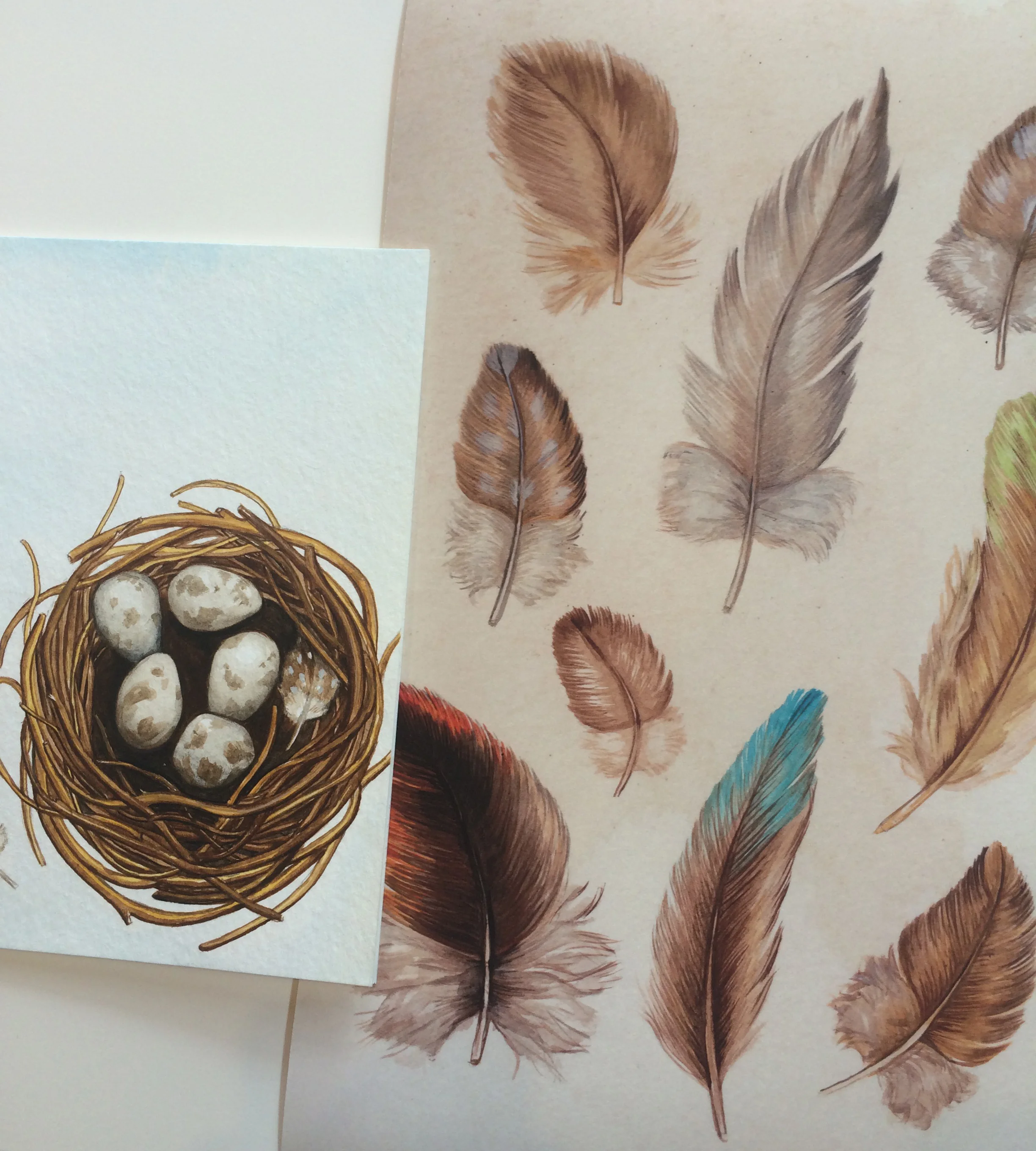 An Exciting Announcement — Now Stocking at The Maker