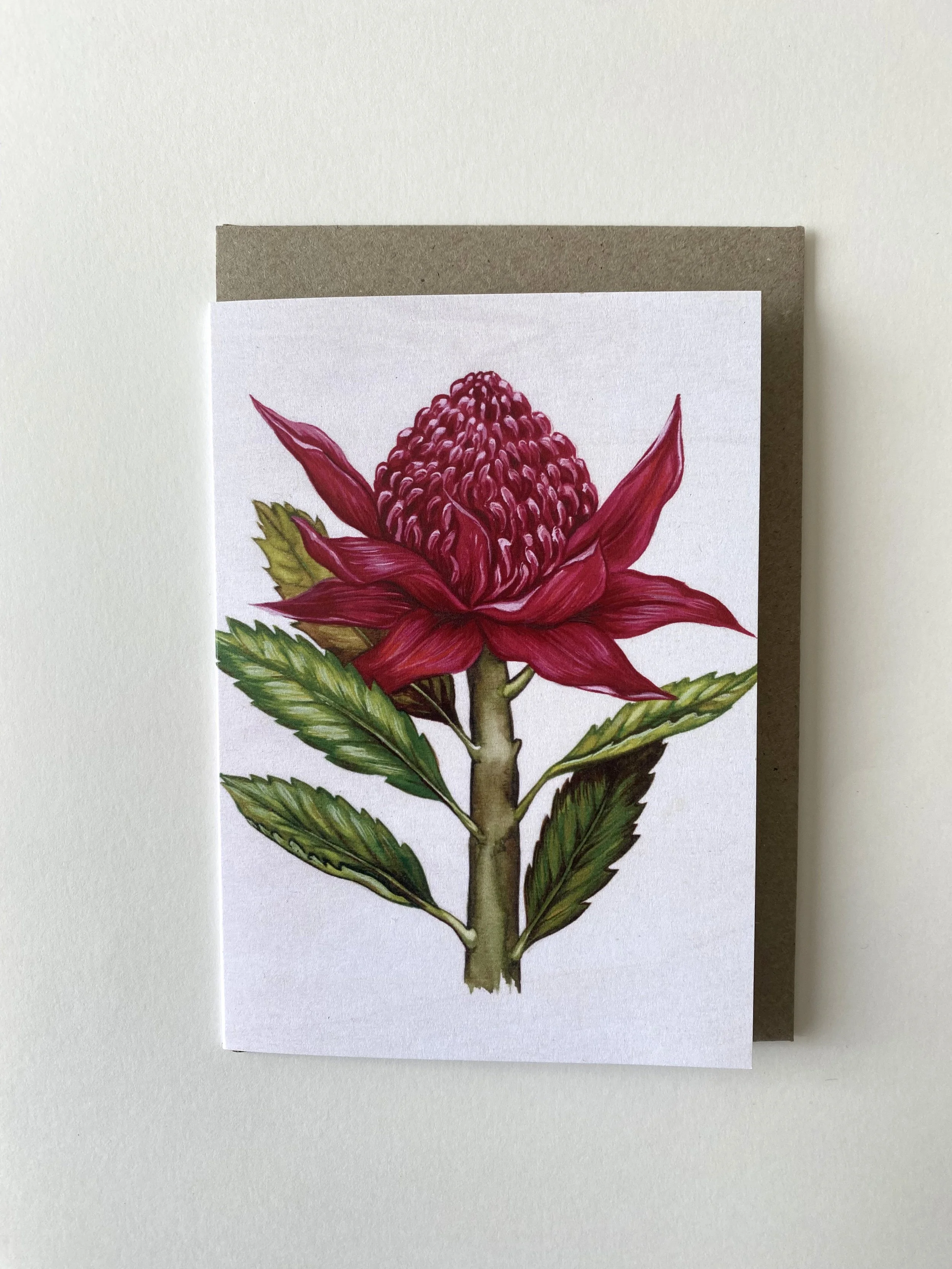 Jennifer Magno Waratah Card New.jpg
