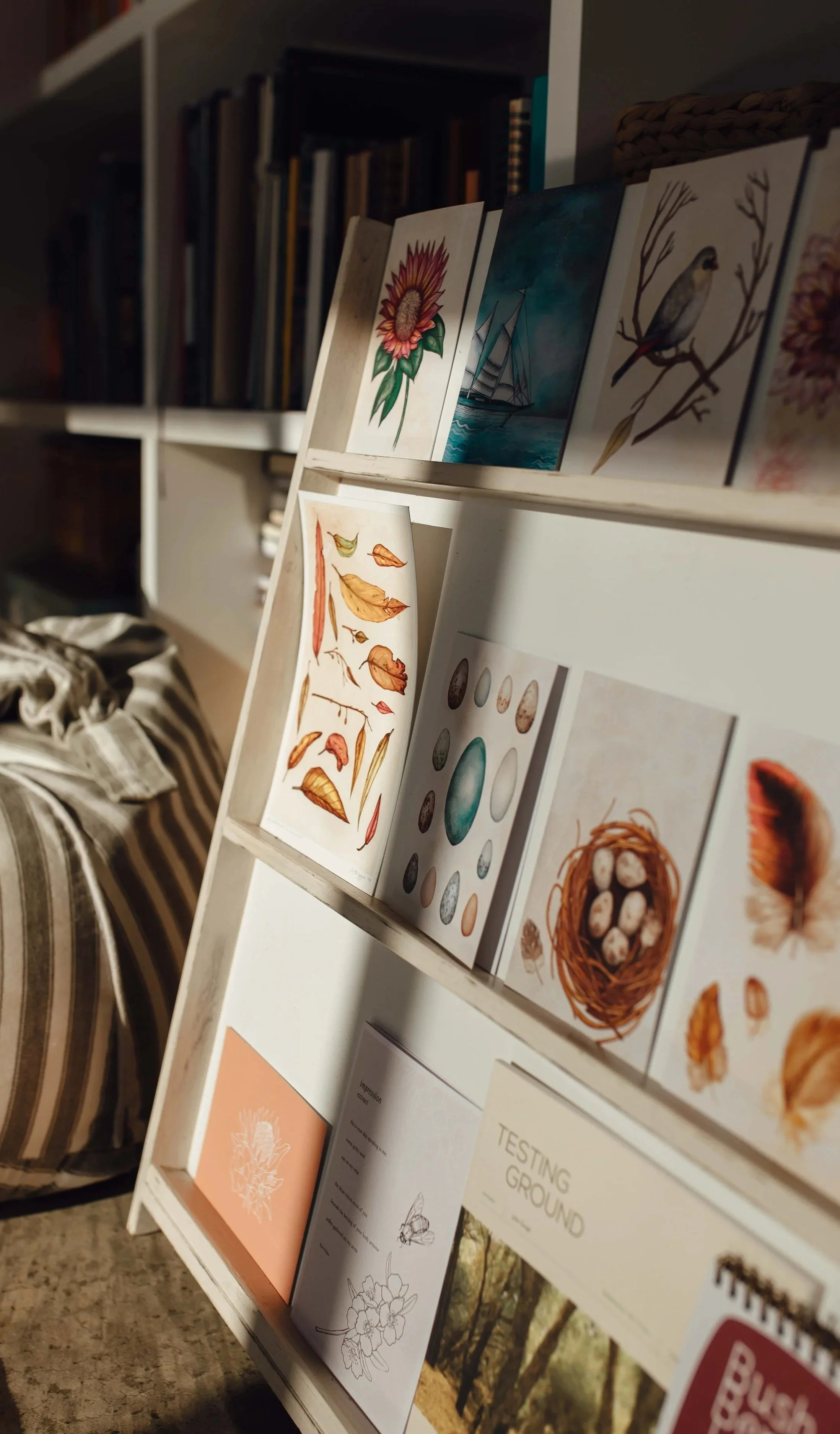 A white bookshelf displaying books with colorful covers, including illustrations of flowers, a sailing ship, a bird, and eggs, in a room with a striped fabric-covered object nearby.