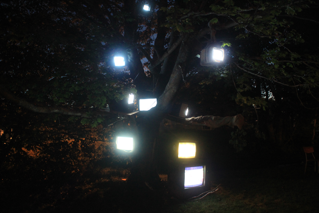 Nightlights Like Fireflies
