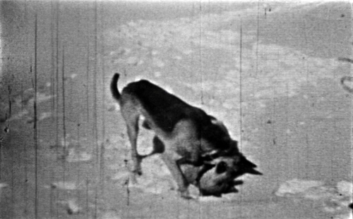 mechanical memory film still