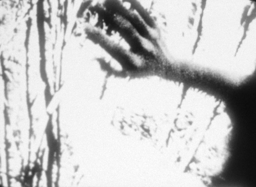 turning film still