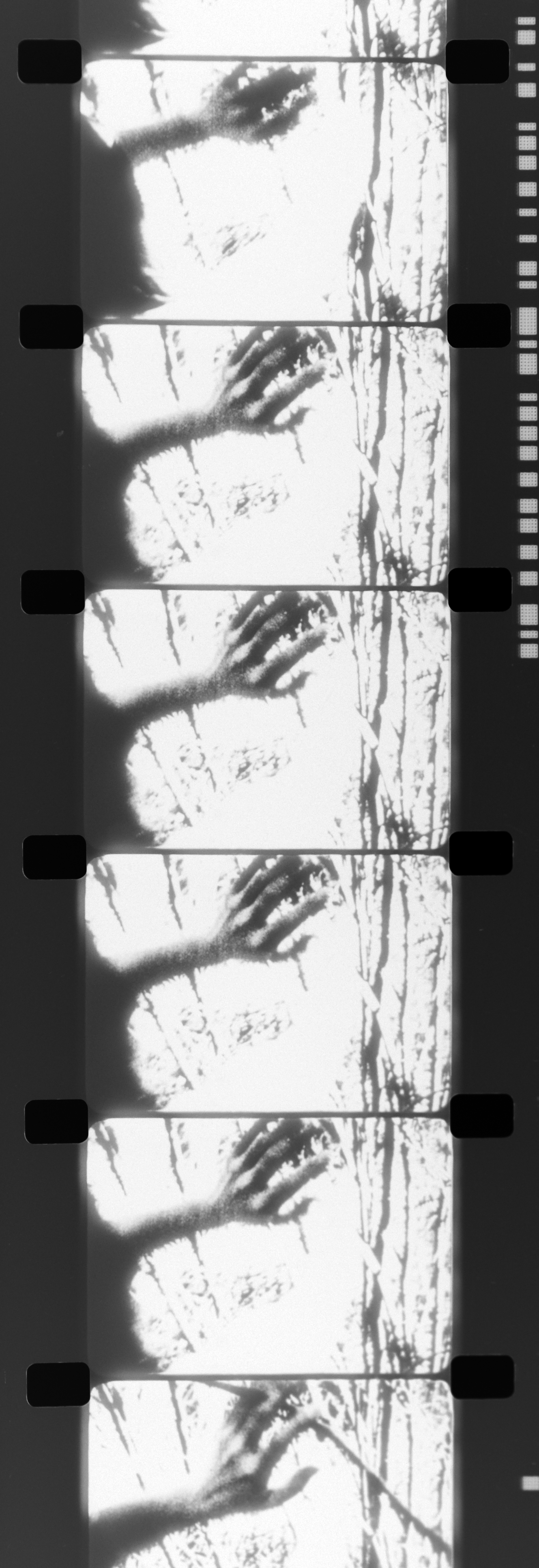 turning film strip