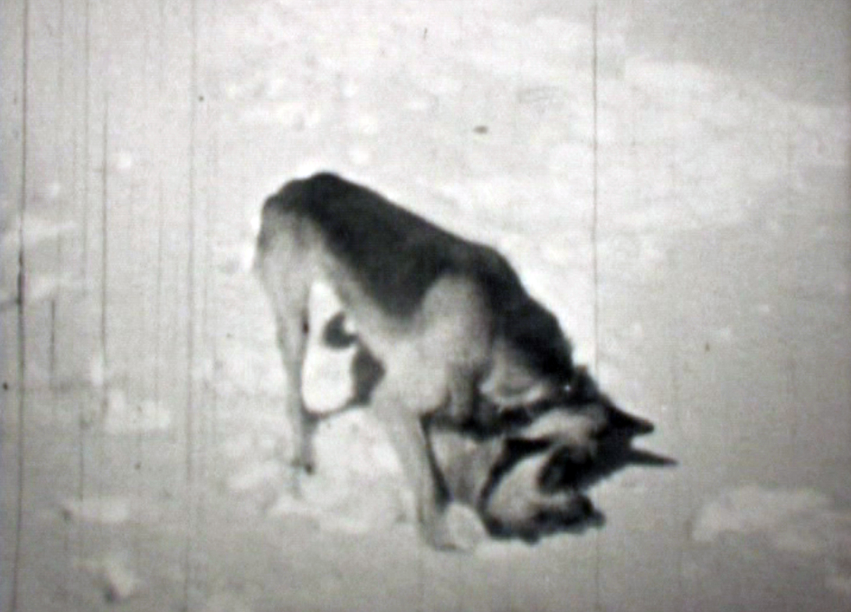 mechanical memory film still