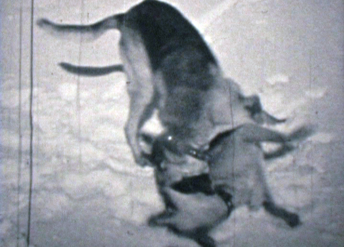 mechanical memory film still