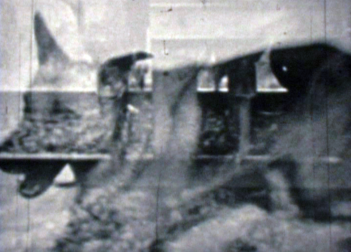 mechanical memory film still