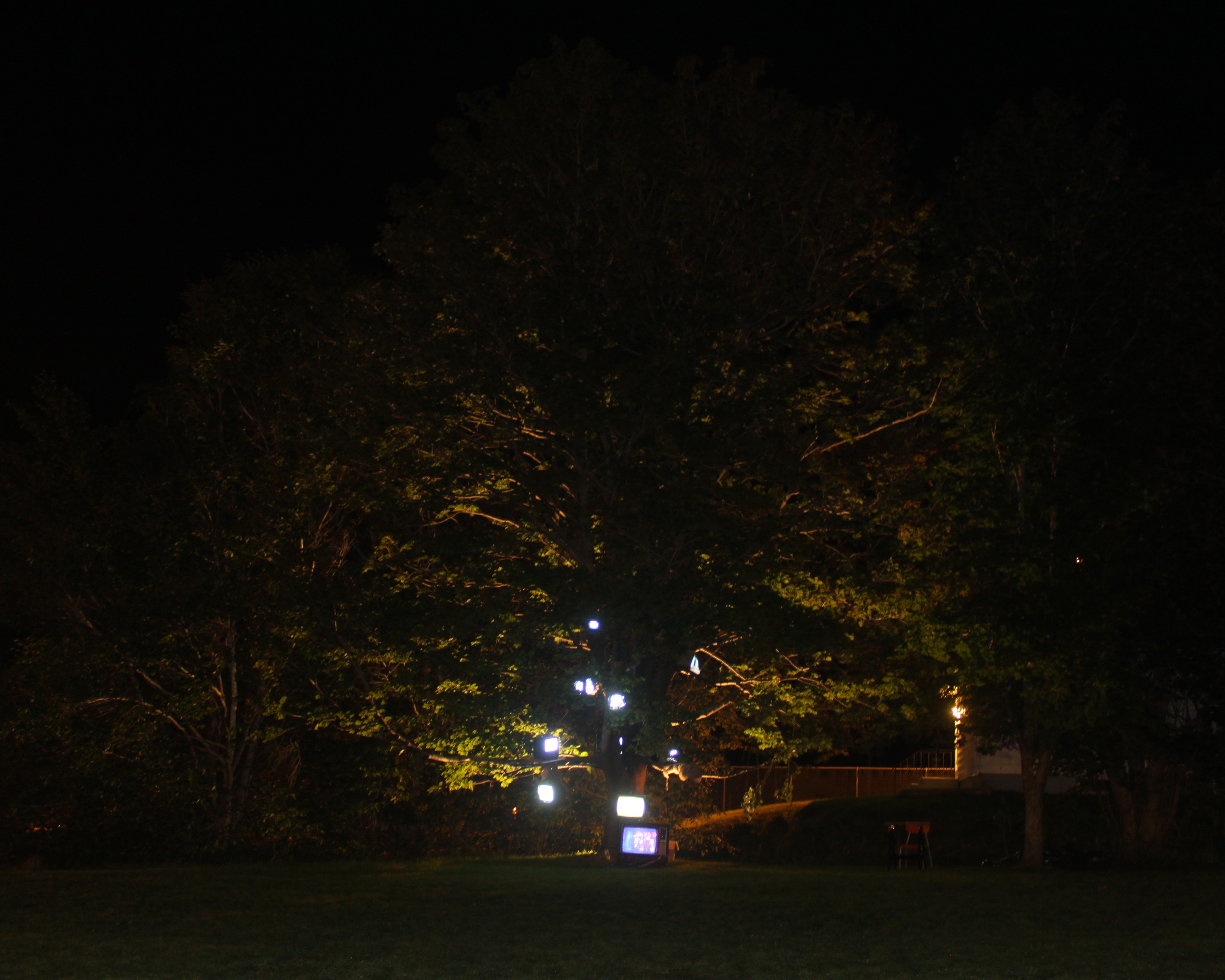 ADC_Nightlights_2695.jpg