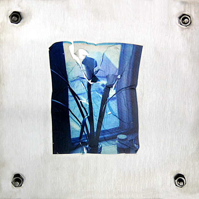 Blue Lillies on Steel: 2003