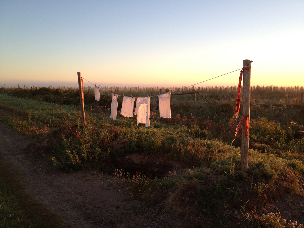 adc_laundryline_4478.jpg