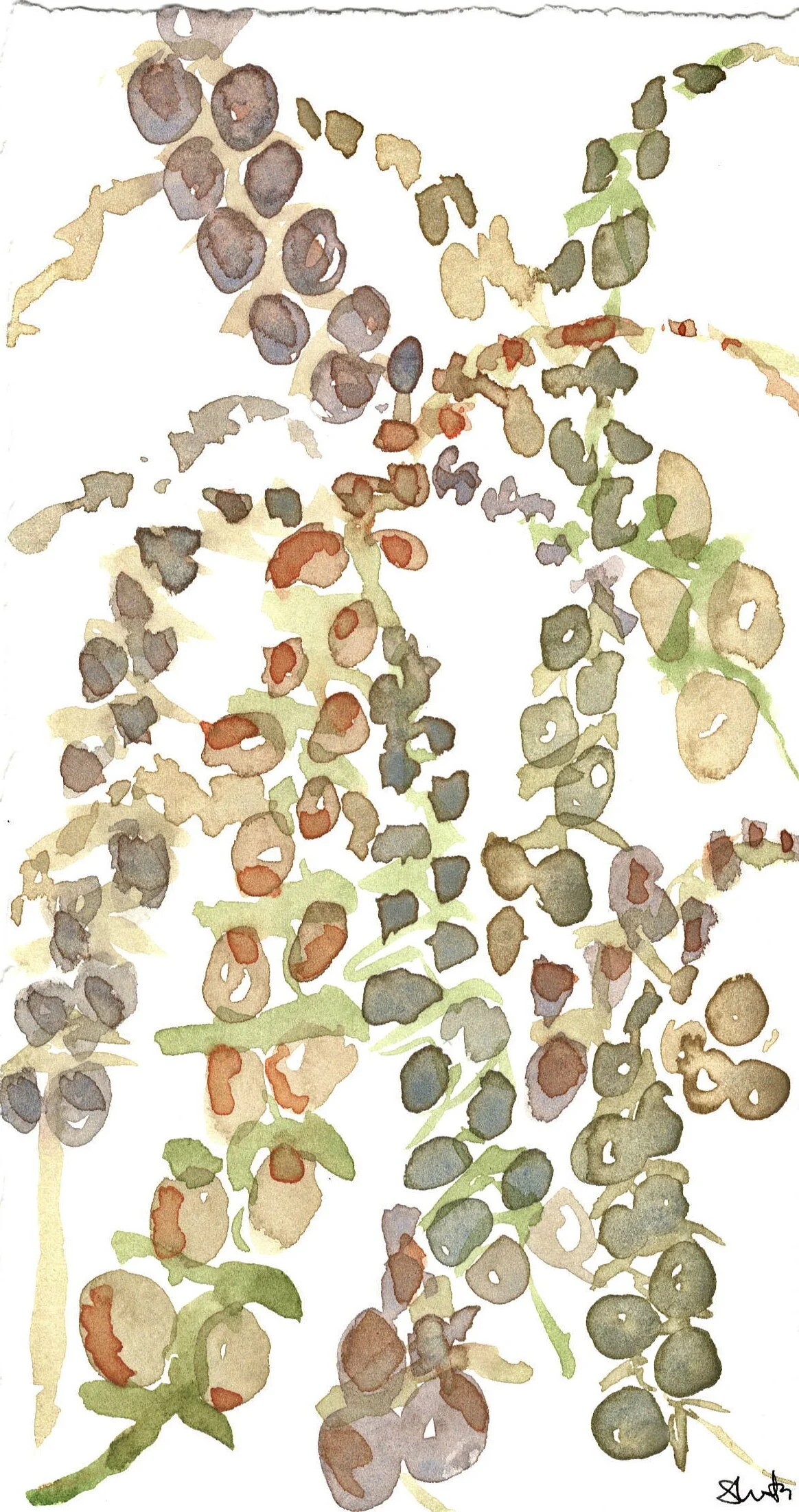 Moss Trailing Flowers 1