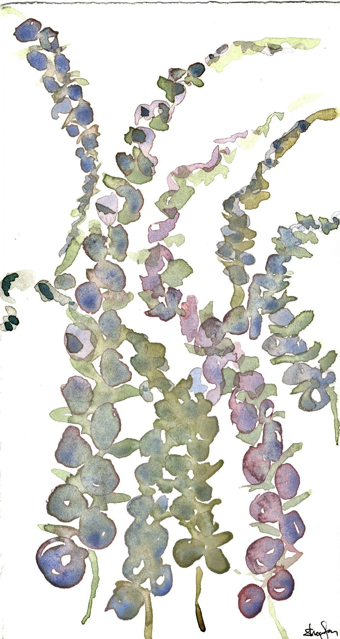 Indigo Trailing Flowers 1