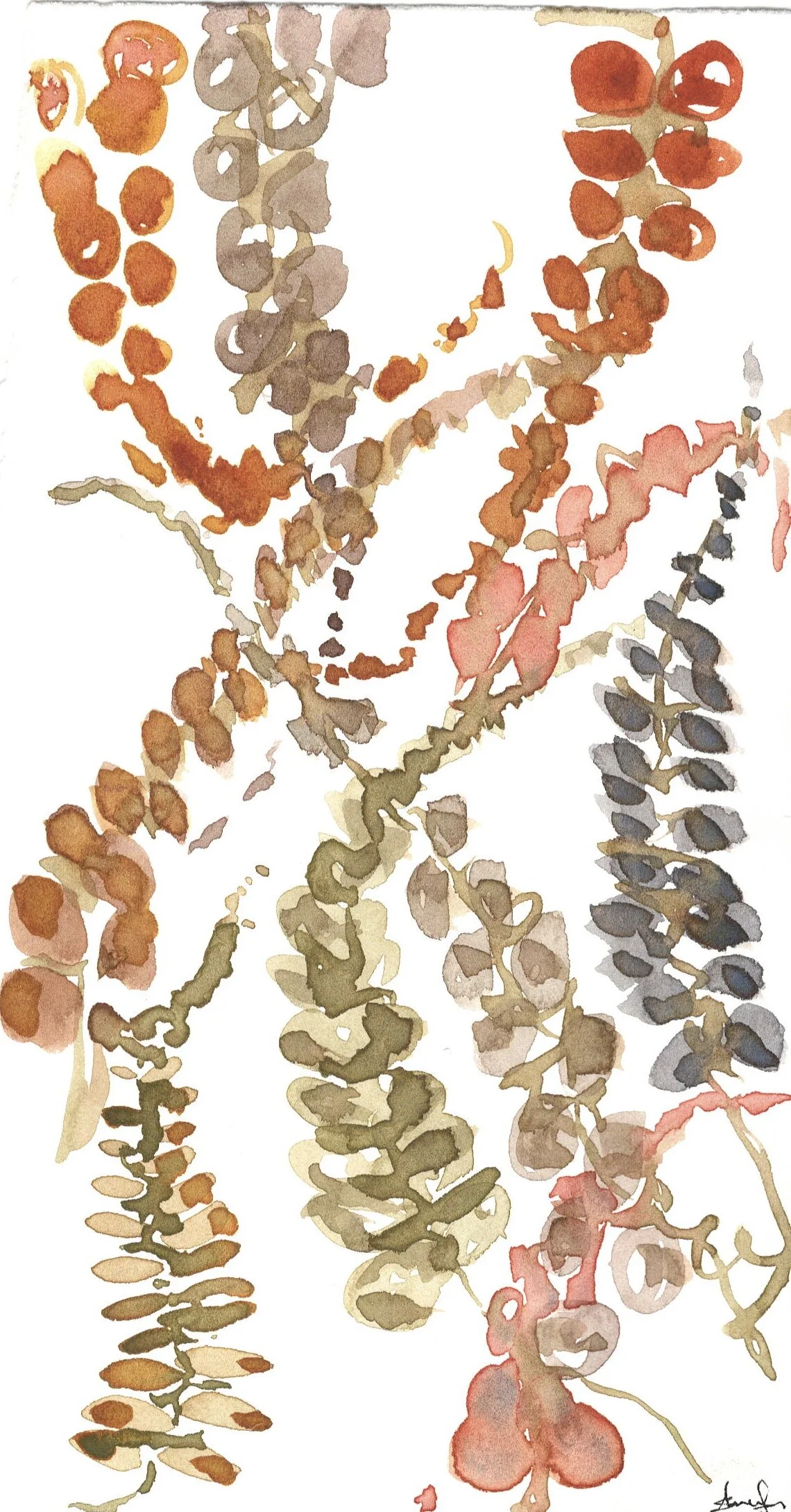 Multi Trailing Flowers 1