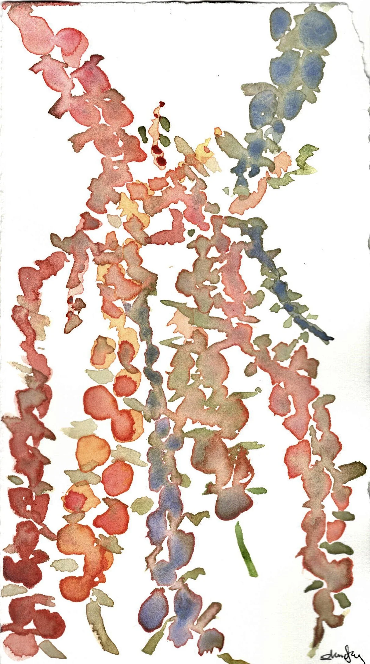 Multi Trailing Flowers 2