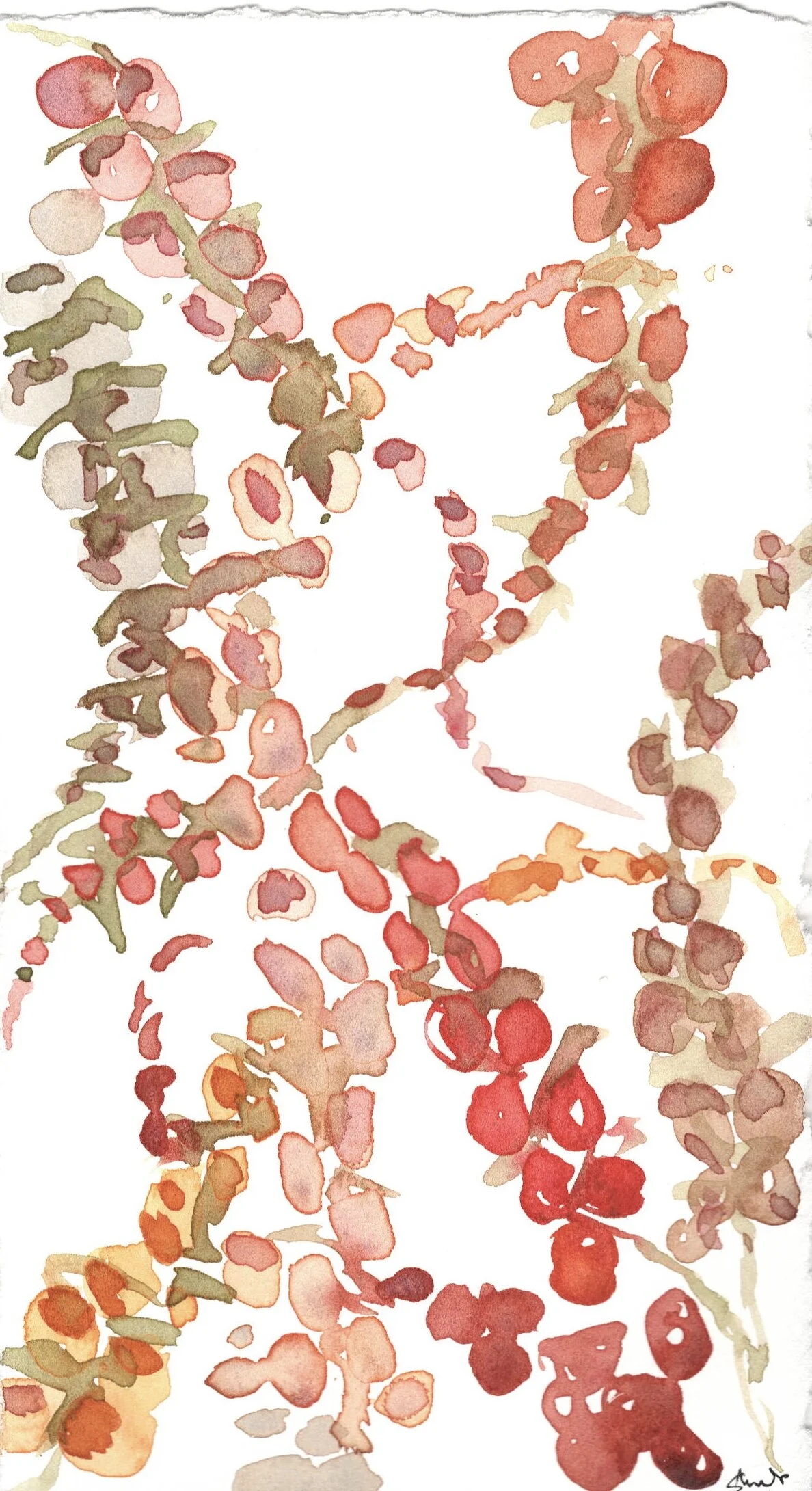 Multi Trailing Flowers 3