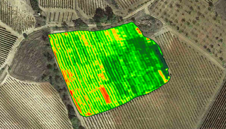 NDVI 1.jpg