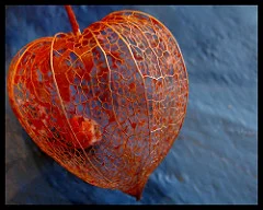 Fall Home Maintenance