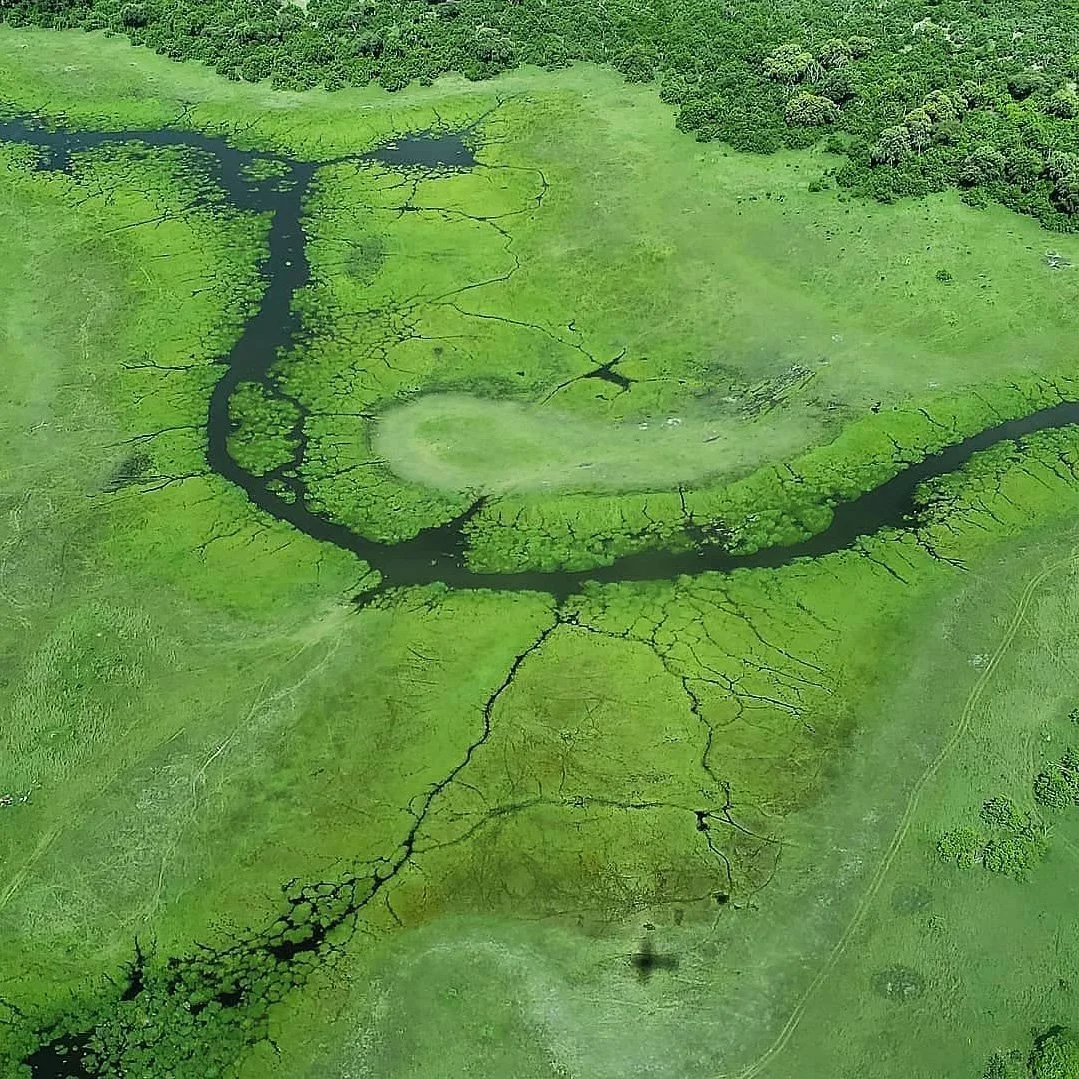 Rosalinapong botswana.jpg