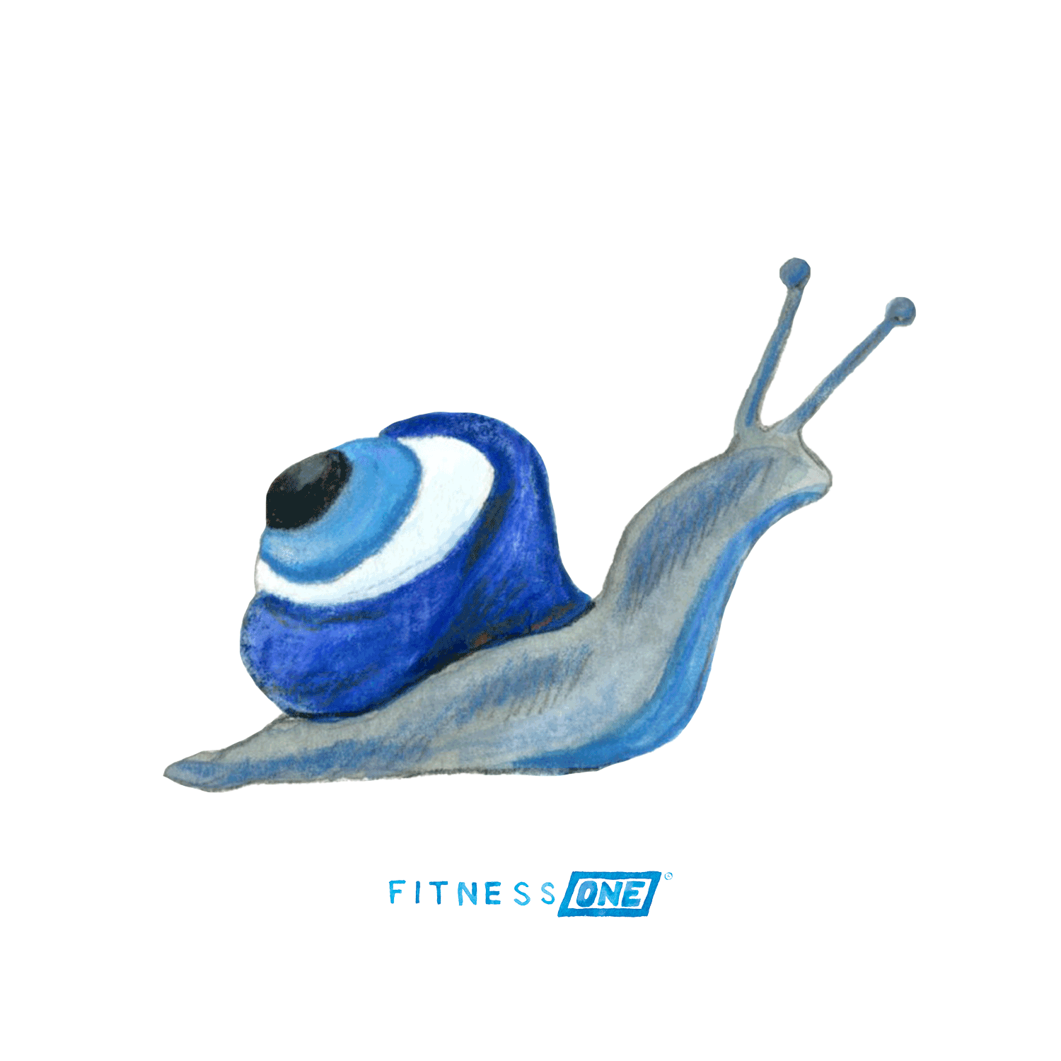 snail.gif