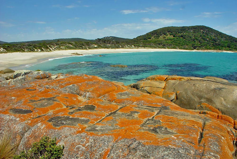 Beach-near-Stanley-Point.jpg