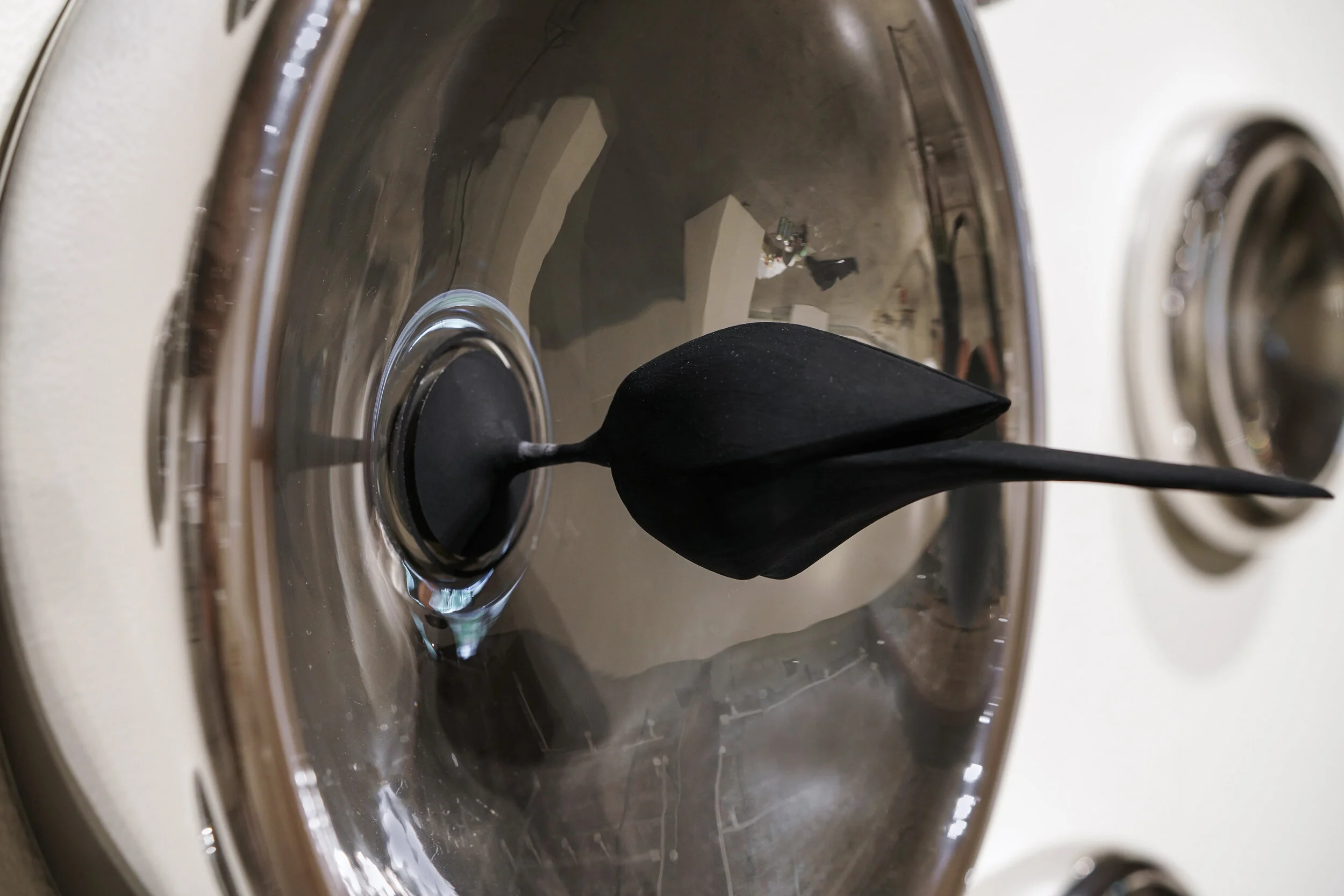 birdof infinit 3_4zoom-left-LRedit.jpg