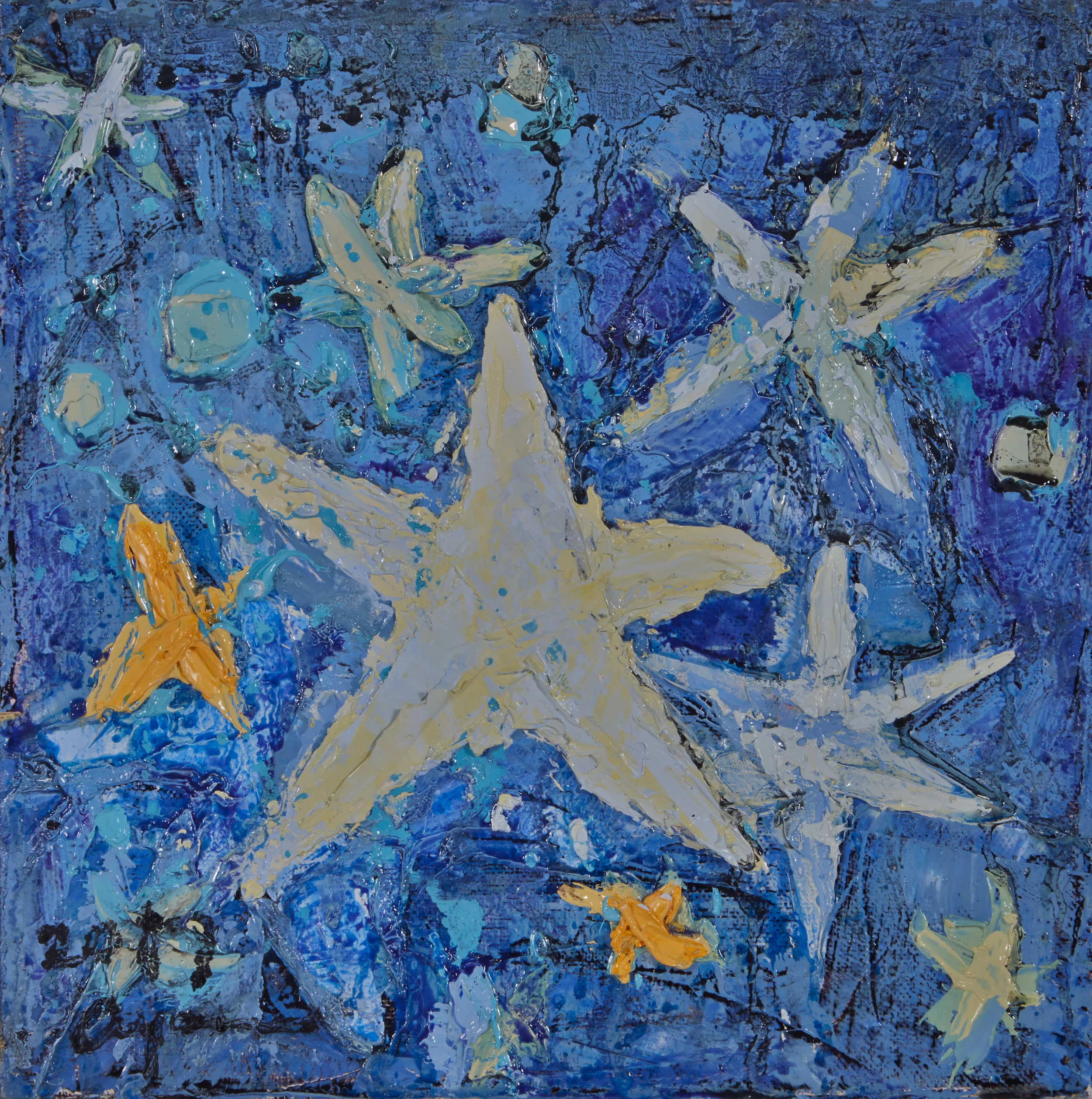 Everybody is a Little Star 2017