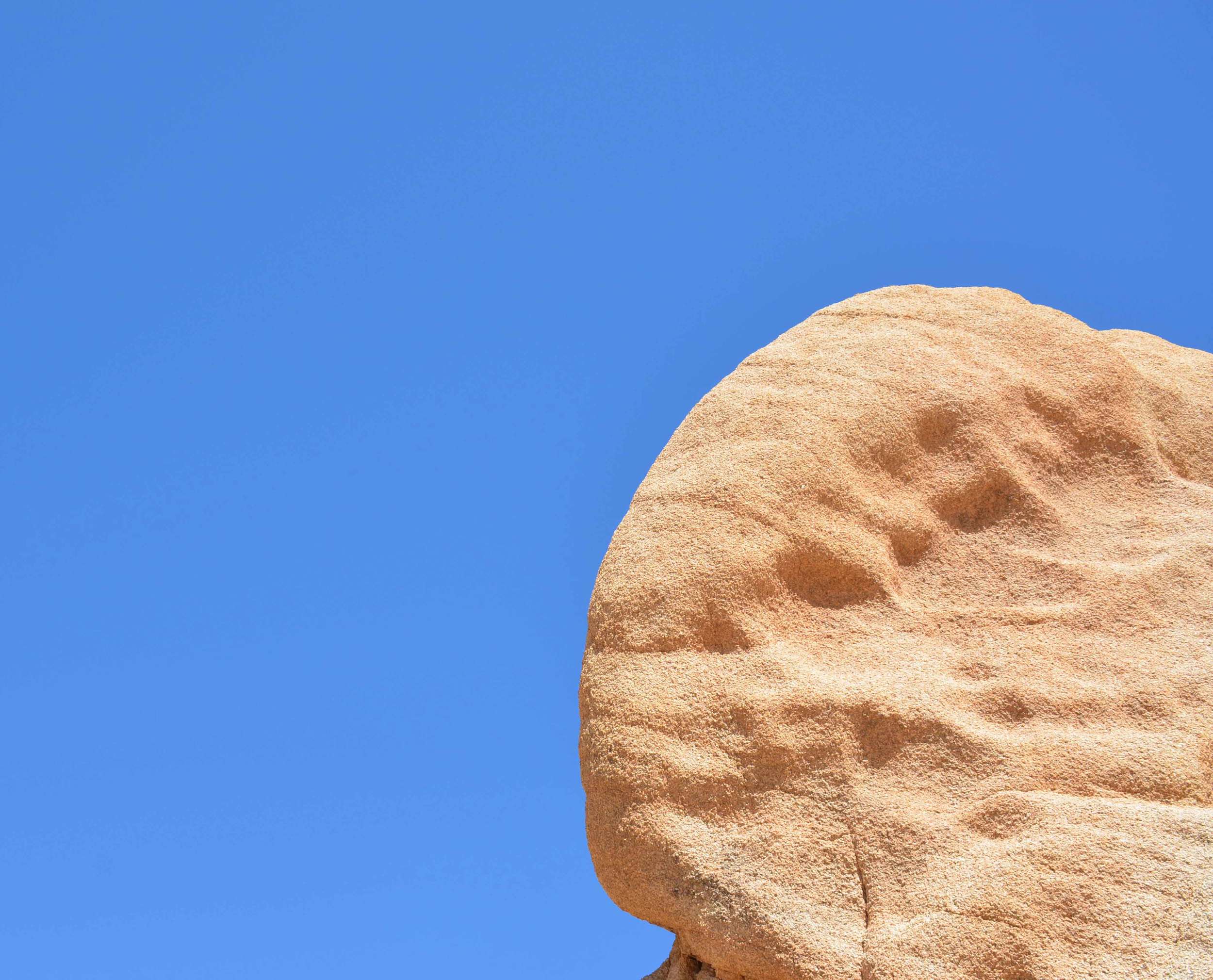 JoshuaTree