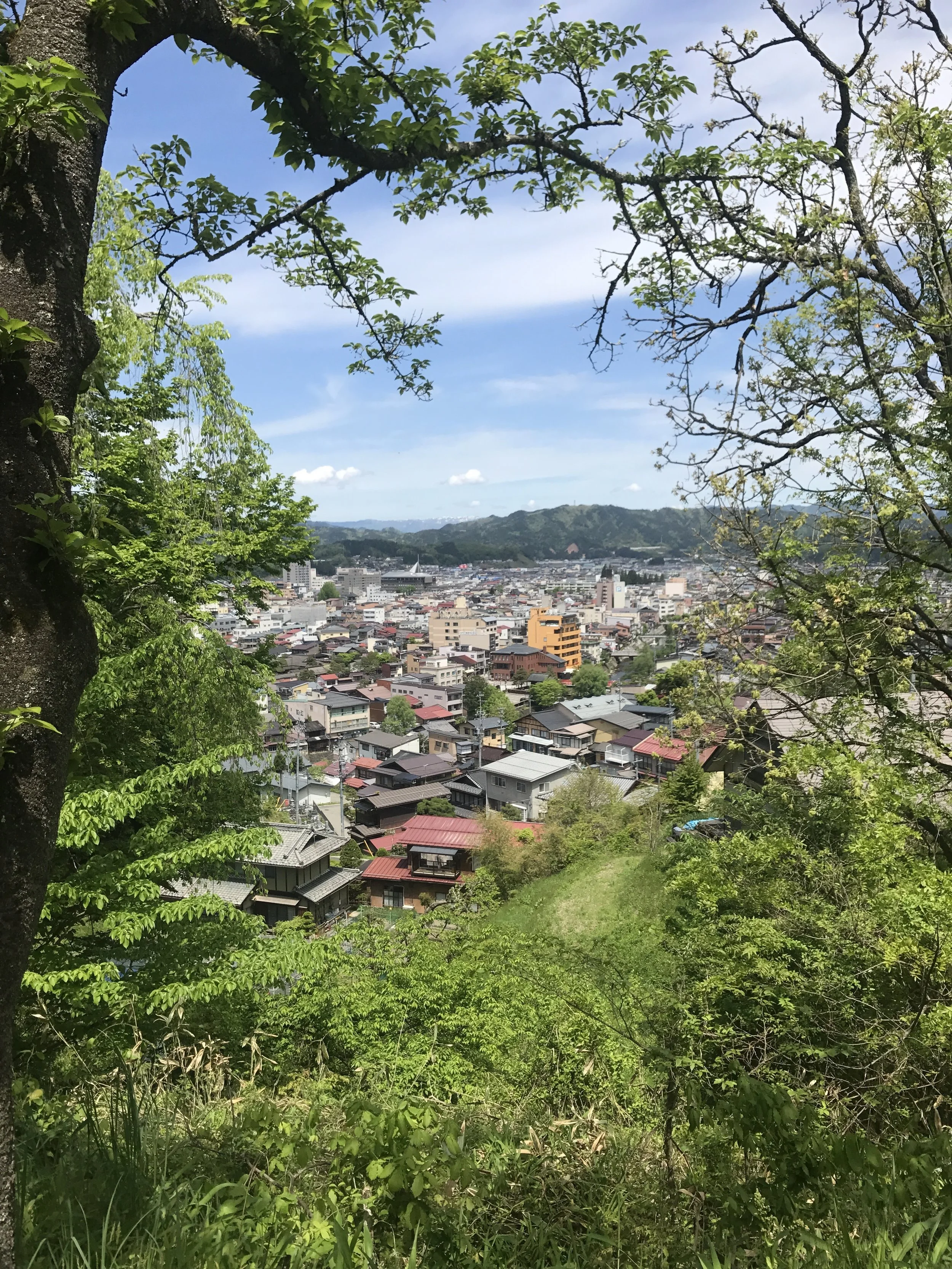 View from our hike
