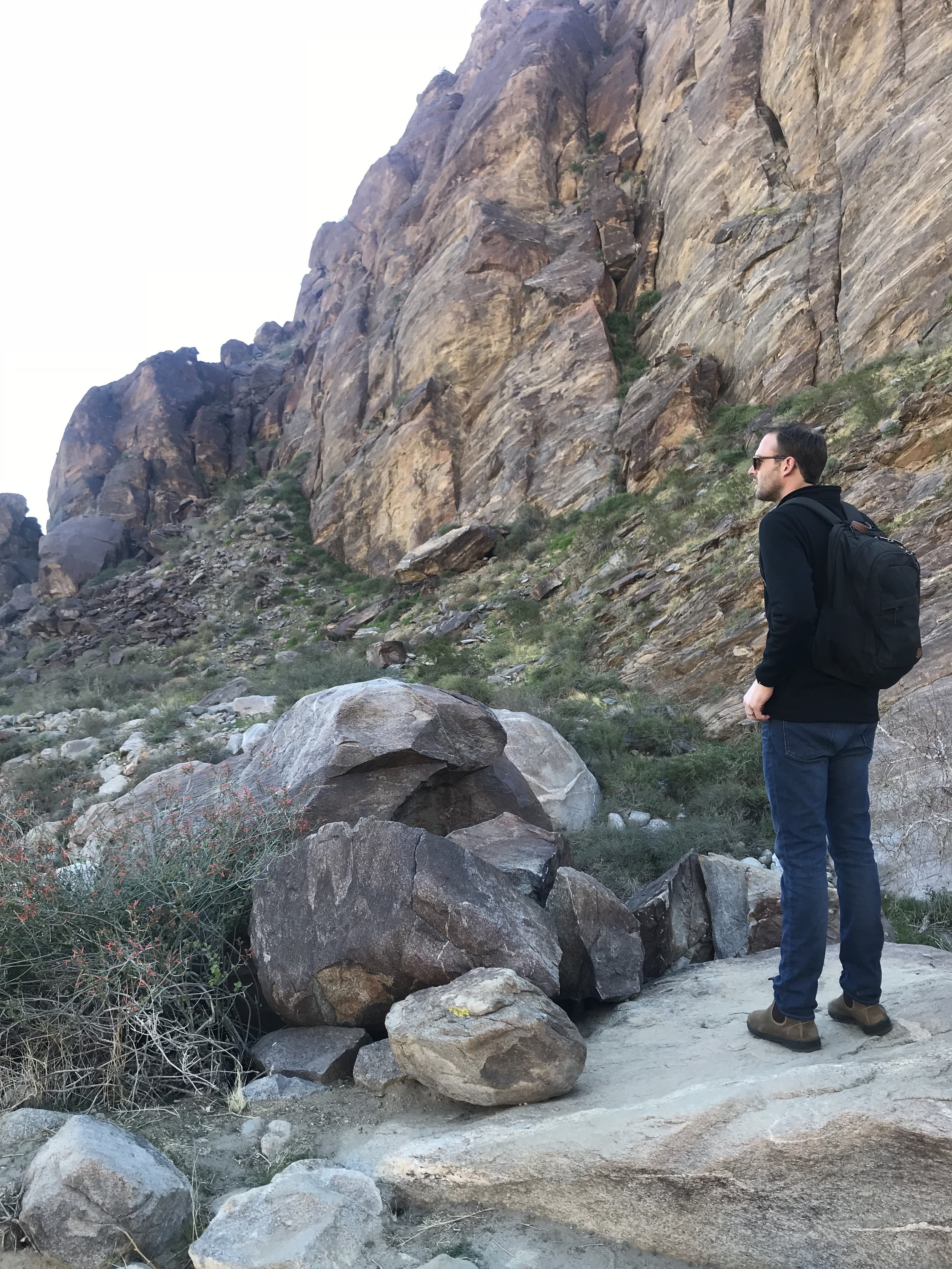 Palm Springs Hike