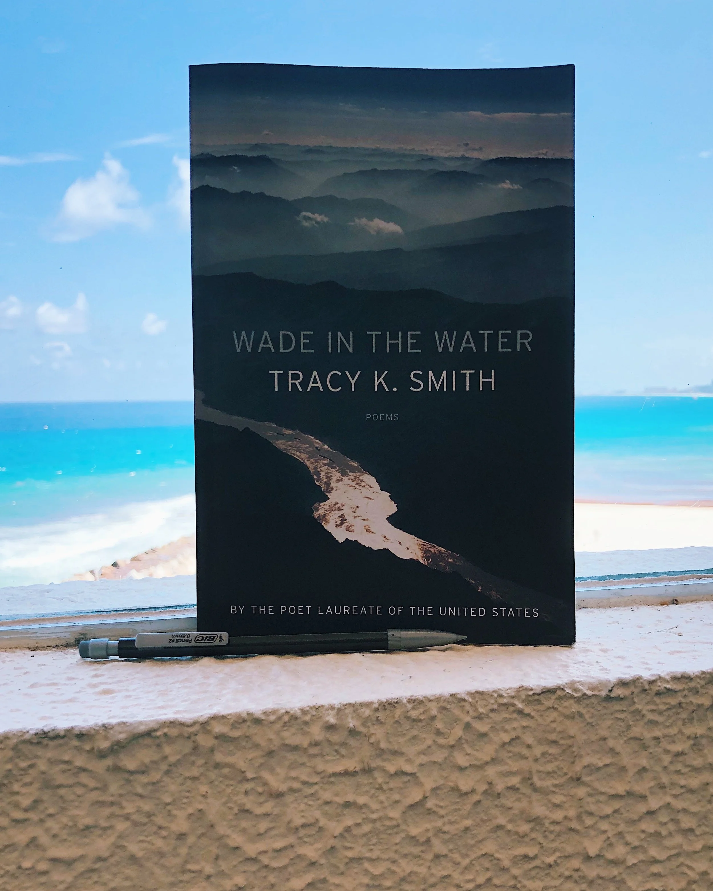 Wade in the Water