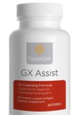 GX ASSIST®