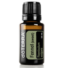Fennel