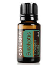 Eucalyptus