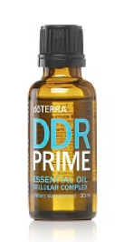 DDR Prime