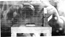 Second WB Image Capturing the Shrine II.jpg
